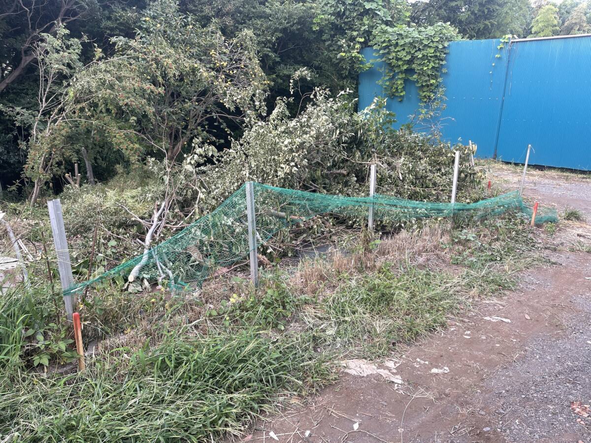 綾瀬市 山林 297㎡